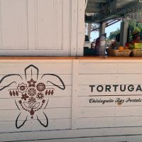 Chiringuito Tortuga